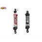 EMO XX Stegosaurus 1/6 RTR 775 Brushed kit - Rally Version