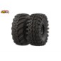 EMO XX Stegosaurus 1/6 RTR 775 Brushed kit - Truck Version
