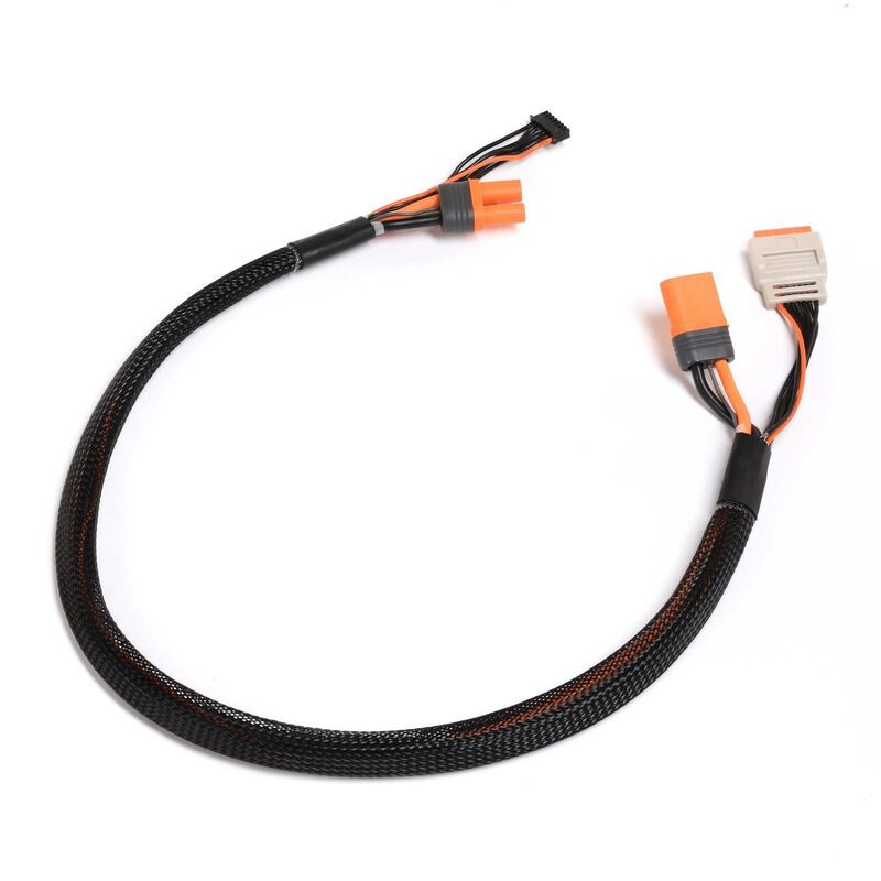 Câble de charge avec rallonge d'équilibrage 24" IC5, 2-6S Câble de charge avec rallonge d'équilibrage 24" IC5, 2-6S