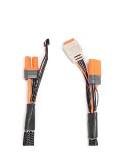 Câble de charge avec rallonge d'équilibrage 24" IC5, 2-6S