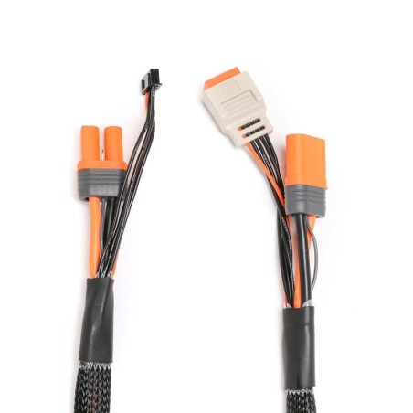 Câble de charge avec rallonge d'équilibrage 24" IC5, 2-6S