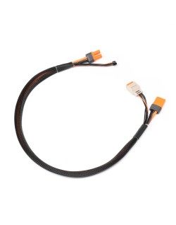 Câble de charge avec rallonge d'équilibrage 24" IC5, 2-4S