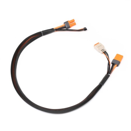 Câble de charge avec rallonge d'équilibrage 24" IC5, 2-4S