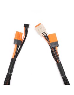 Câble de charge avec rallonge d'équilibrage 24" IC5, 2-4S
