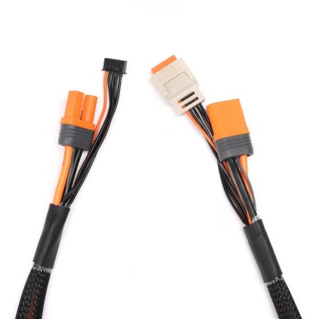 Câble de charge avec rallonge d'équilibrage 24" IC5, 2-4S