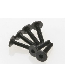 Traxxas Vis BTR Tête large 3x15mm (x6) 3646