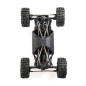 Axial Capra 1.9 4WS Unlimited Trail Buggy RTR AXI-1543 Axial Capra 1.9 4WS Unlimited Trail Buggy RTR AXI-1543