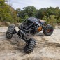Axial Capra 1.9 4WS Unlimited Trail Buggy RTR AXI-1543 Axial Capra 1.9 4WS Unlimited Trail Buggy RTR AXI-1543