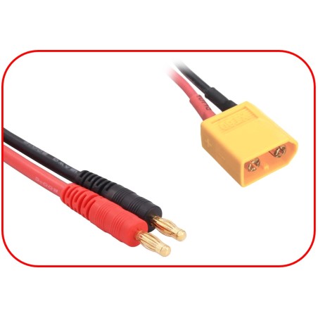 Câble de charge Banane pour XT60 30cm