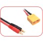 Câble de charge Banane pour XT60 30cm