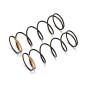 HB Racing Ressorts d'amortisseurs Or 70mm (x2) 109810