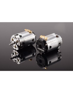 Moteur sans balais à capteur de calage fixe RUDDOG RP540 13,5T 540