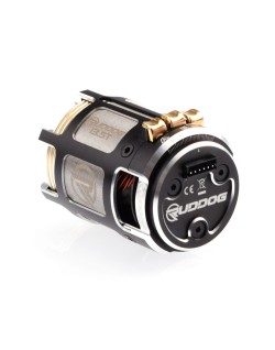 Moteur brushless à capteur RUDDOG Racing RP542 10.5T 540 d'origine