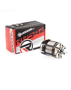 Moteur brushless à capteur RUDDOG Racing RP542 10.5T 540 d'origine