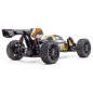 HobbyTech Rogue Buggy 2.0 Brushless 4x4 1/8 RTR HobbyTech Rogue Buggy 2.0 Brushless 4x4 1/8 RTR