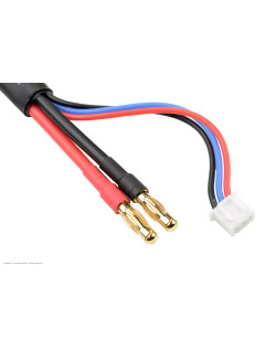 Revtec - Câble de charge/équilibrage - Connecteur Bullit 5 mm 2S - Chargeur 2S