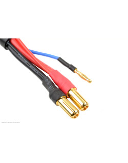 Revtec - Câble de charge/équilibrage - Connecteur Bullit 5 mm 2S - Chargeur 2S
