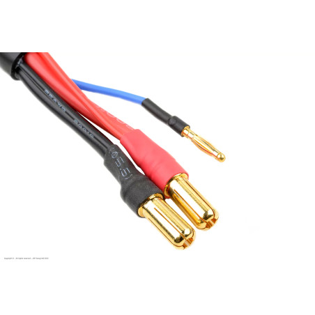 Revtec - Câble de charge/équilibrage - Connecteur Bullit 5 mm 2S - Chargeur 2S