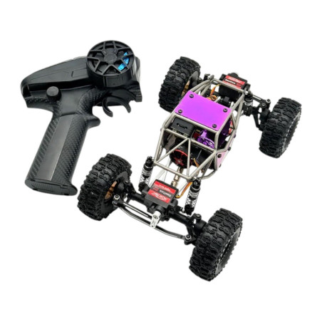 Buggy Titan 18 ARTR Titanium Purple Edition Active Pro 4WS avec carte de contrôle Micro-Tesla Édition Limitée
