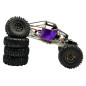 Buggy Titan 18 ARTR Titanium Purple Edition Active Pro 4WS avec carte de contrôle Micro-Tesla Édition Limitée Buggy Titan 18 ARTR Titanium Purple Edition Active Pro 4WS avec carte de contrôle Micro-Tesla Édition Limitée