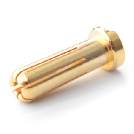 prise 5.0mm gold Bullet plated Mâle (10pcs)