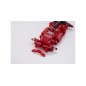 Kyosho Mini-Z MR03 EVO SP Chassis Set Red Limited (W-MM) 8500KV