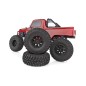 CRAWLER ELEMENT ENDURO 12 TRAIL ECTO RTR 1/12 - 40010C