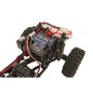 Element RC Enduro24 Ecto RTR