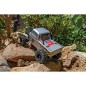 Element RC Enduro24 Ecto RTR